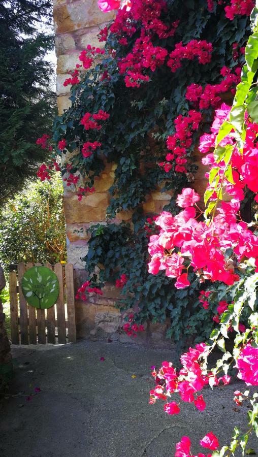 Casa Rural La Posada Del Alba Alea Extérieur photo